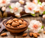 Almond Ambrosia Fragrance Oil | Luxury + AWW Exclusive