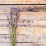 Lavender + Aged Oak Fragrance Oil