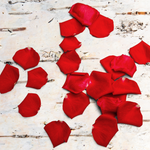 Rose Petals + Birch Fragrance Oil