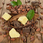 Cocoa Butter Cashmere Type Fragrance Oil