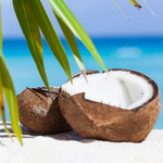 Fresh Island Coconut Fragrance Oil