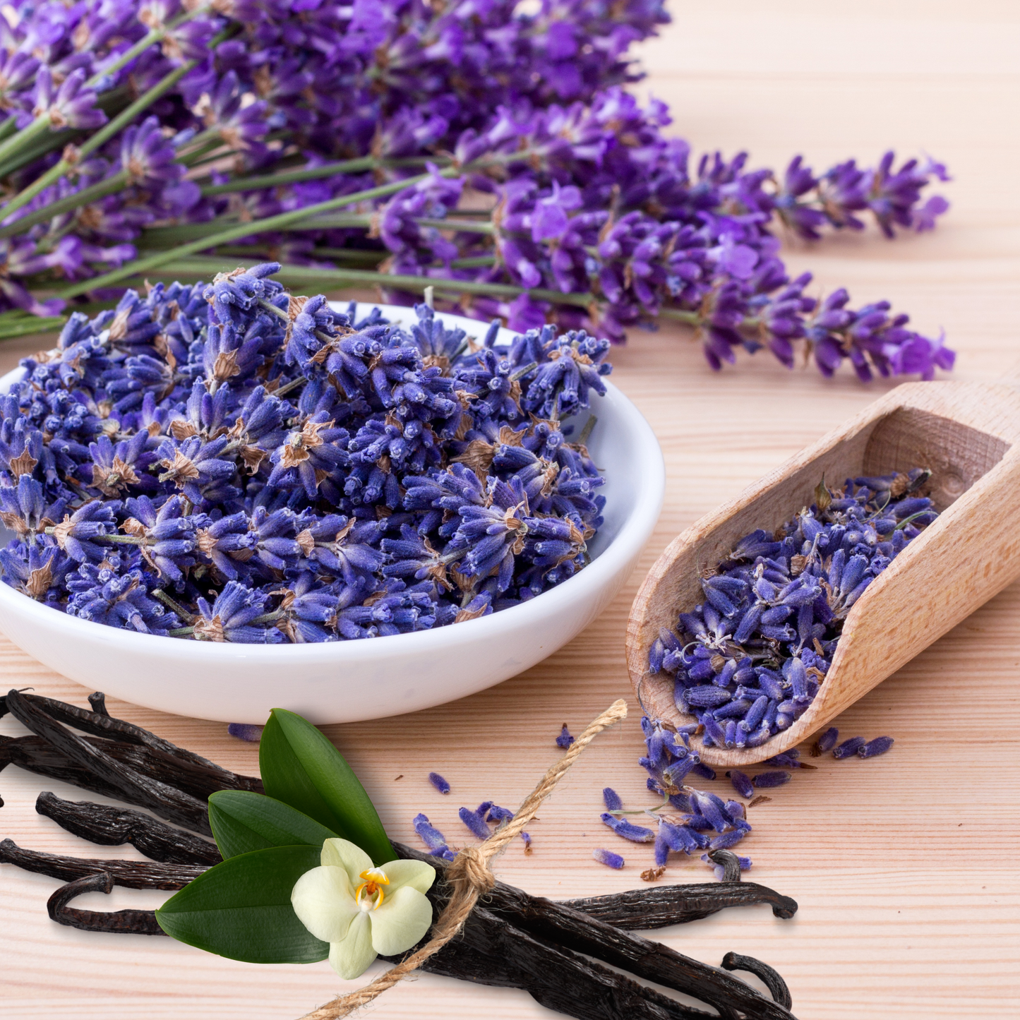 https://awwcandlesupply.com/cdn/shop/products/LavenderVanilla.png?v=1656433133&width=1445