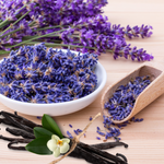 Lavender Vanilla Fragrance Oil