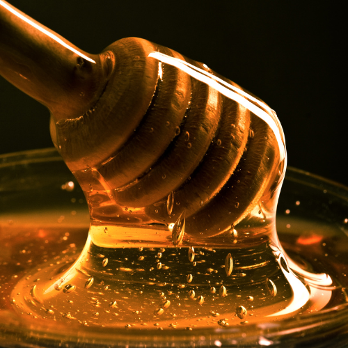 Honey Fragrance Oil