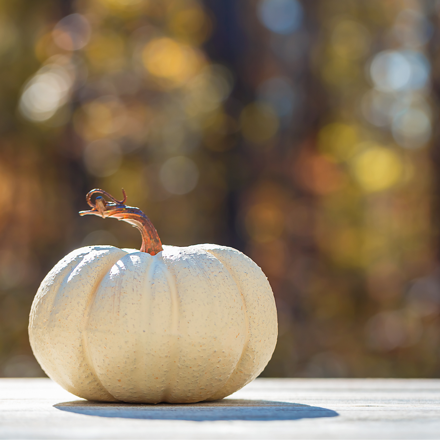 Spiced White Pumpkin Fragrance Oil